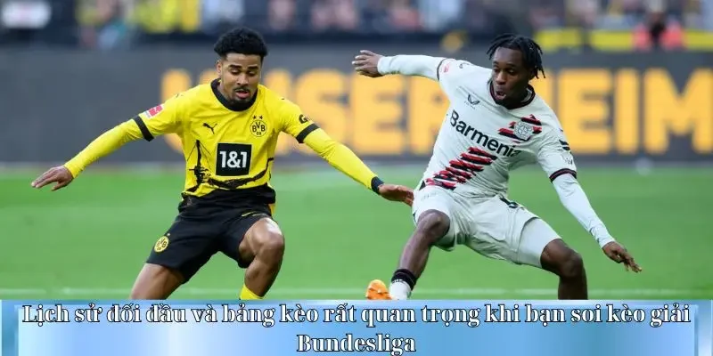 Lịch sử đối đầu và bảng kèo rất quan trọng khi bạn soi kèo giải Bundesliga